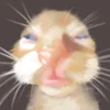 lyzbzth